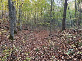 PT LT 29-30 Naphan Road, Hastings, ON , MLS #X12204307 , Image - 1