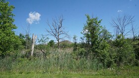 26 Shaw Street, Niagara, ON , MLS #X12204333 , Image - 1