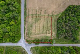 PART 2 Ron Jones Road, Simcoe, ON , MLS #S12204671 , Image - 1