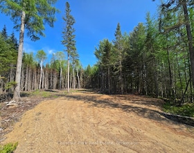 0 Stoneway Road, Parry Sound, ON , MLS #X12204745 , Image - 1