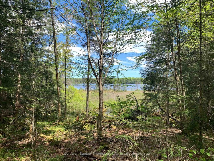 0 Maxwell Lane, Parry Sound Remote Area, ON, Lount