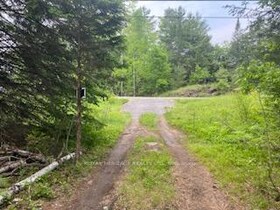 17556 Highway 62 N/A, Hastings, ON , MLS #X12206755 , Image - 1