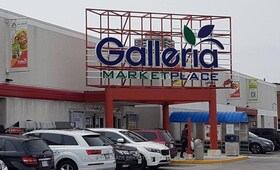 7040 Yonge Street, York, ON , MLS #N12207245 , Image - 1