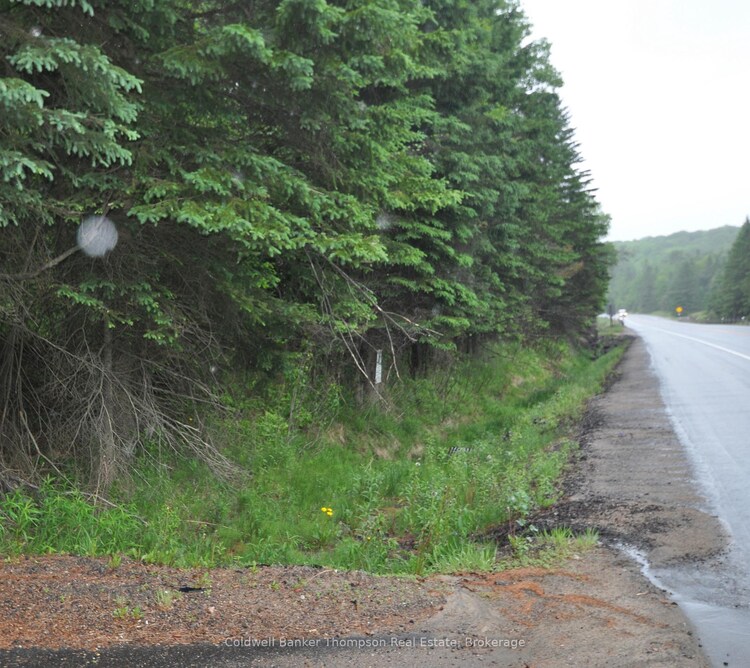 2818 Highway 60 Highway, Lake of Bays, ON, Franklin