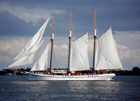 15 Windermere Avenue, Toronto, ON , MLS #W12564626 , Image - 1