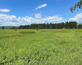 NA County Road 4 Road, Prescott and R, ON , MLS #X12208713 , Image - 1