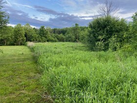 Lot Flagg Road, Stormont, Dund, ON , MLS #X12213757 , Image - 1