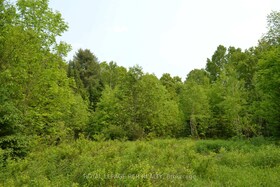 1527 Madill Road, Haliburton, ON , MLS #X12214957 , Image - 1