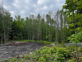 40 Sunnyshore Park Drive, Parry Sound, ON , MLS #X12215501 , Image - 1