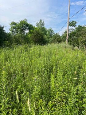 PTLT14 CON 3 N/A, Leeds and Grenvi, ON