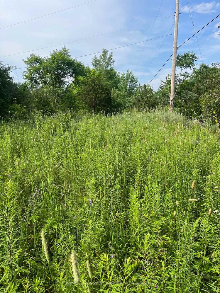 PTLT14 CON 3 N/A, Rideau Lakes, ON, 816 - Rideau Lakes (North Crosby) Twp