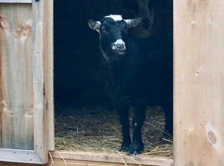 934190 Airport Road, Mono, ON, Rural Mono