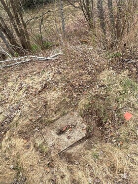 1014 BULRUSH Trail, Haliburton, ON , MLS #X12279504 , Image - 1