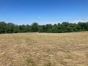 544 Crowe Road, Hastings, ON , MLS #X12221502 , Image - 1