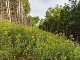 502265 Concession 10 NDR Concession, Grey County, ON , MLS #X12462738 , Image - 1