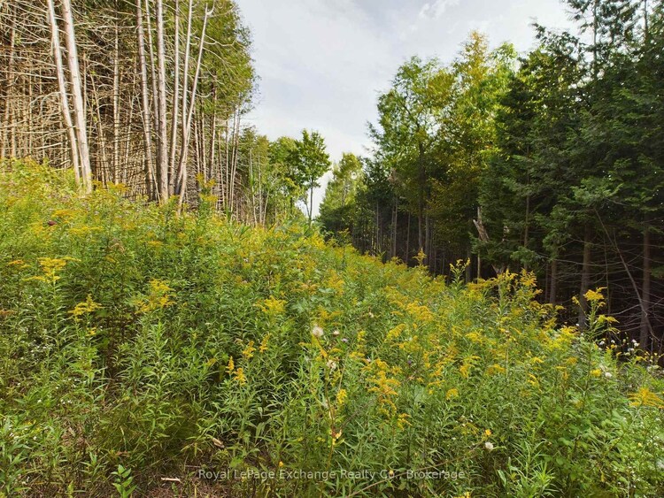 502265 Concession 10 NDR Concession, West Grey, ON, West Grey