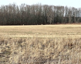 68 3rd Concession Road, Lennox & Addin, ON , MLS #X13174454 , Image - 1