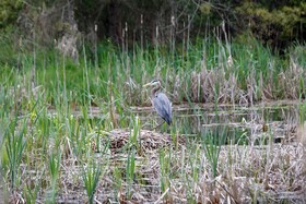 Block73 Shawano Drive, Northumberland, ON , MLS #X12226548 , Image - 1