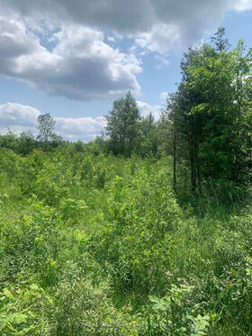 CON7LT2 Bolton Road, Leeds and Grenvi, ON , MLS #X12228633 , Image - 1