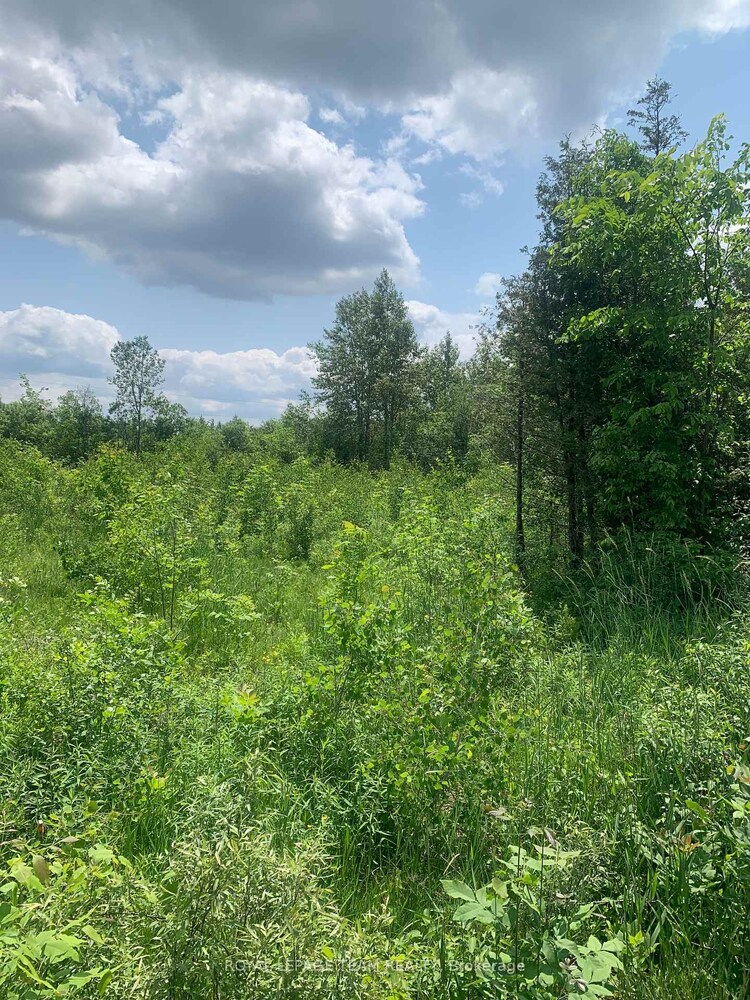 CON7LT2 Bolton Road, Merrickville-Wolford, ON, 805 - Merrickville/Wolford Twp