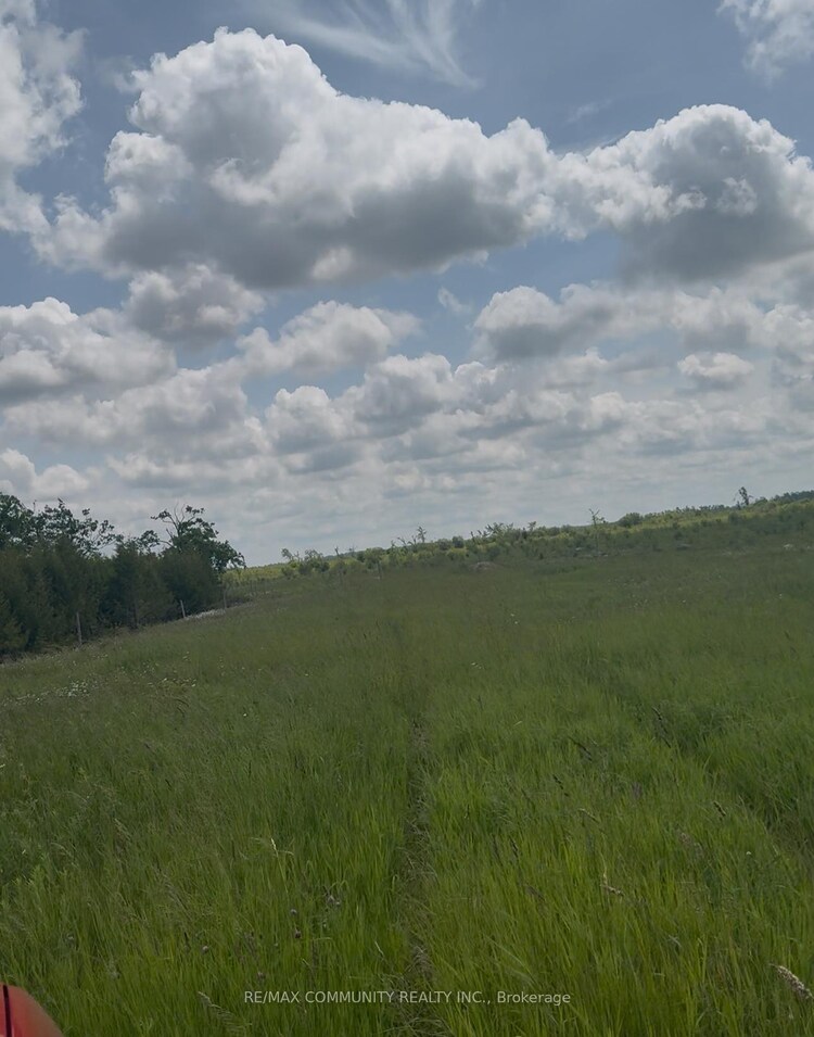 27979 Simcoe Street, Kawartha Lakes, ON, Woodville