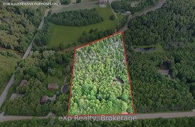 382233 Concession 4 NDR Road, Grey County, ON , MLS #X12245076 , Image - 1