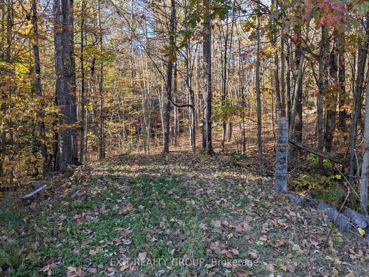 0 Flinton Road, Tweed, ON, Elzevir (Twp)