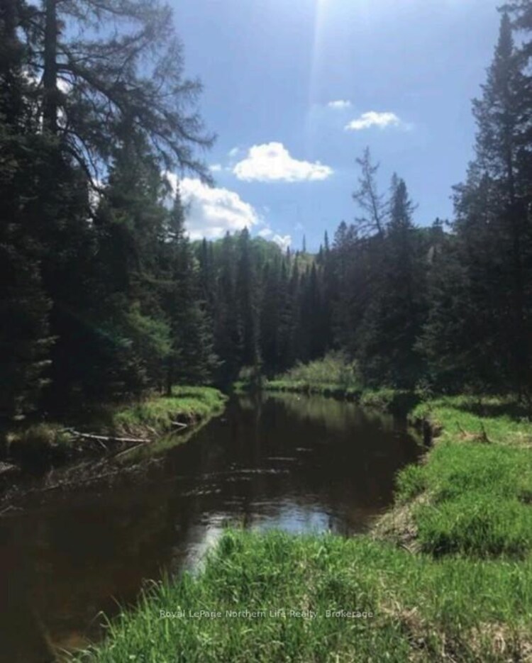 PT LT 5 Con 14 South Horn Lake Road, Armour, ON, Armour