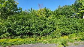 00 Tolmies Corners Road, Stormont, Dund, ON