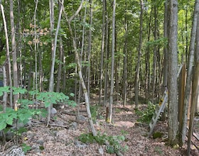 Lot 15 James Street, Hastings, ON , MLS #X13152956 , Image - 1