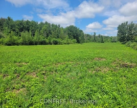 000 Willy Allan Road, Stormont, Dund, ON , MLS #X12240175 , Image - 1