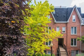 29 canniff Street, Toronto, ON , MLS #C12485368 , Image - 1