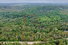 30725 Hockley Road, Dufferin, ON