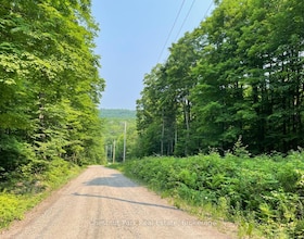 0 Coleman Lake Road, Haliburton, ON , MLS #X12875730 , Image - 1