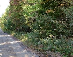 LOT 20 CONCESSION 5 Road, Muskoka, ON , MLS #X13154838 , Image - 1