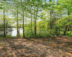 1374 Havensford Drive, Haliburton, ON , MLS #X13140474 , Image - 1