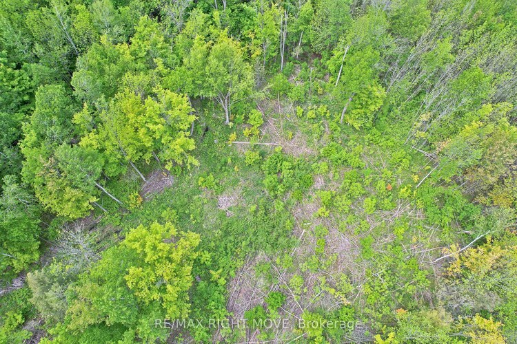 1382 Wilson Point Road, Severn, ON, Rural Severn