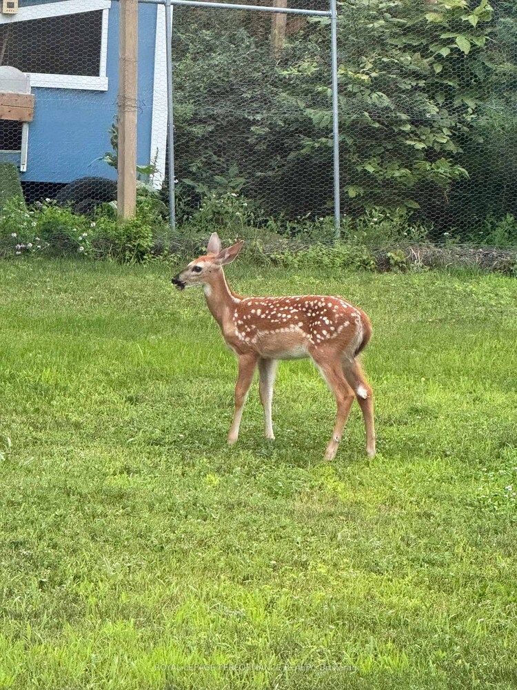 1141 Julia Court, Constance Bay - Dunrobin - Kilmaurs - Woodlawn, ON, 9304 - Dunrobin Shores