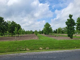 6512 Bethesda Road N, York, ON , MLS #N12234904 , Image - 1