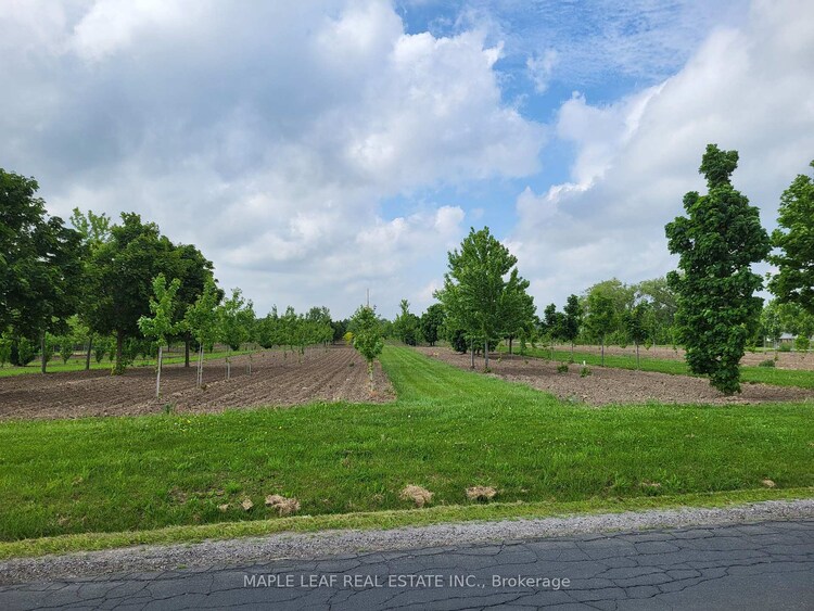 6512 Bethesda Road N, Whitchurch-Stouffville, ON, Rural Whitchurch-Stouffville
