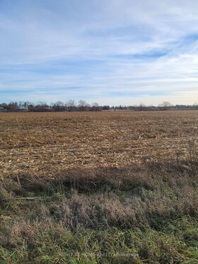 2406 ROGER STEVENS Drive, Ottawa, ON , MLS #X12230302 , Image - 1