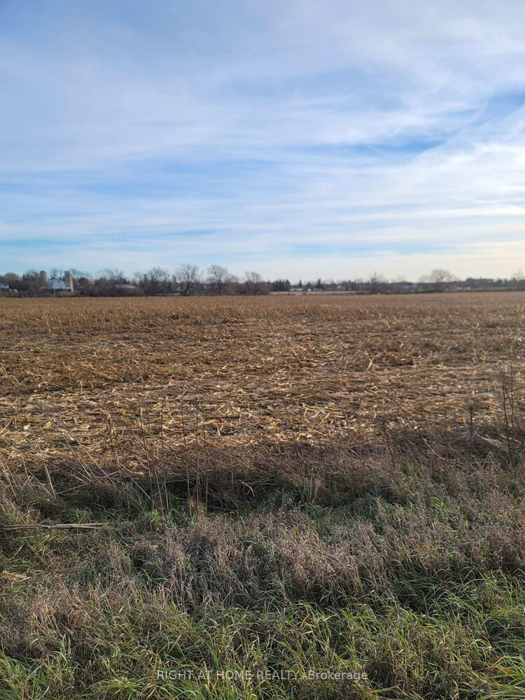 2404 Roger Stevens Drive, Manotick - Kars - Rideau Twp and Area, ON, 8009 - North Gower