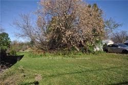 244 Pefferlaw Road, York, ON , MLS #N13443096 , Image - 1