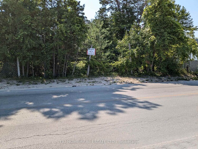 163 Mosley Street, Wasaga Beach, ON, Wasaga Beach