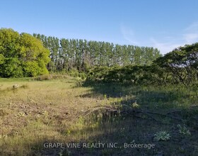 4599 MOHRS Road, Ottawa, ON , MLS #X12222232 , Image - 1