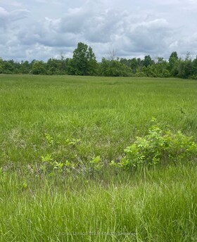 3447 Donnelly Drive, Ottawa, ON