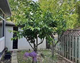 1 Via Cristina Way, York, ON , MLS #N13108536 , Image - 1