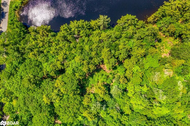 29 Bear Lk Rd, Georgian Bay, ON, 