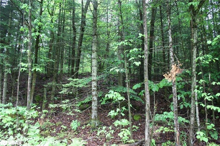 N/A Quarry Road, Bancroft, ON, 