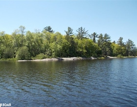 0 Mcdiarmid Island, Parry Sound, ON , MLS #40720642 , Image - 1
